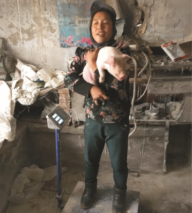 ��ȦΪ�Ķ����̲��ϣ�Z100����ʵ֤����