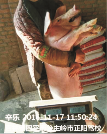 ��ȦΪ�Ķ��������ϣ�Z101����ʵ֤����